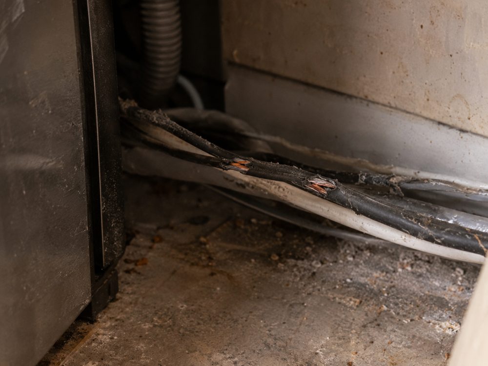 Mouse-chewed electrical wiring behind an appliance